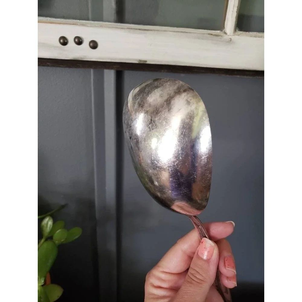 1960s WM Rogers & Sons Sea Spray Casserole Spoon Silverplate Serving Replacement